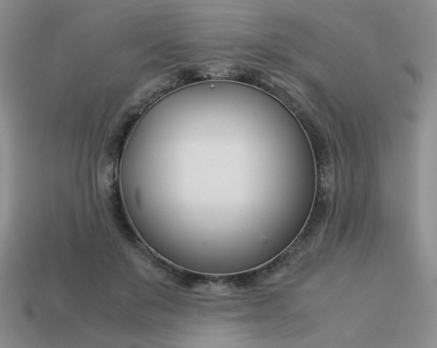 X0000114140503200910221528