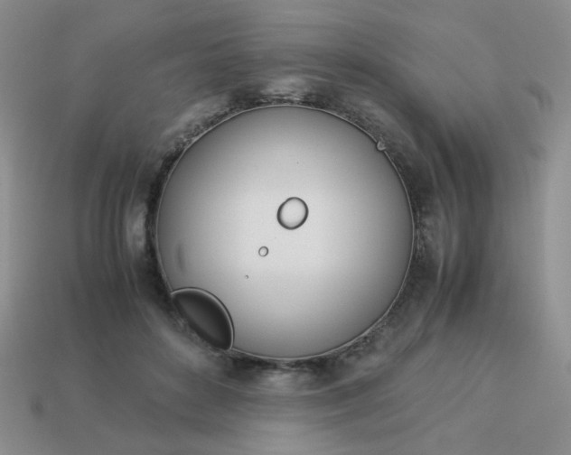 X0000114140504200910221528