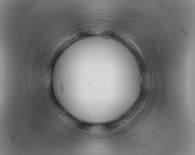 X0000114140505200910221528