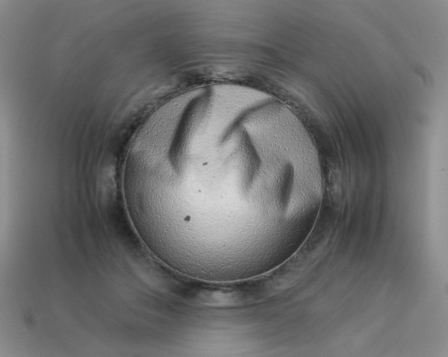 X0000114140506200910221528