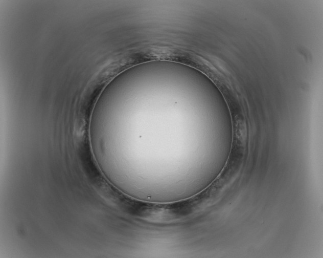 X0000114140507200910221528