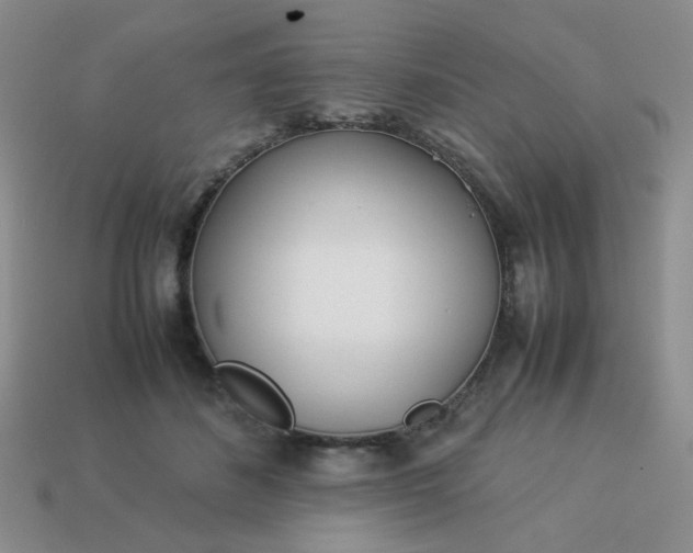 X0000114140508200910221528