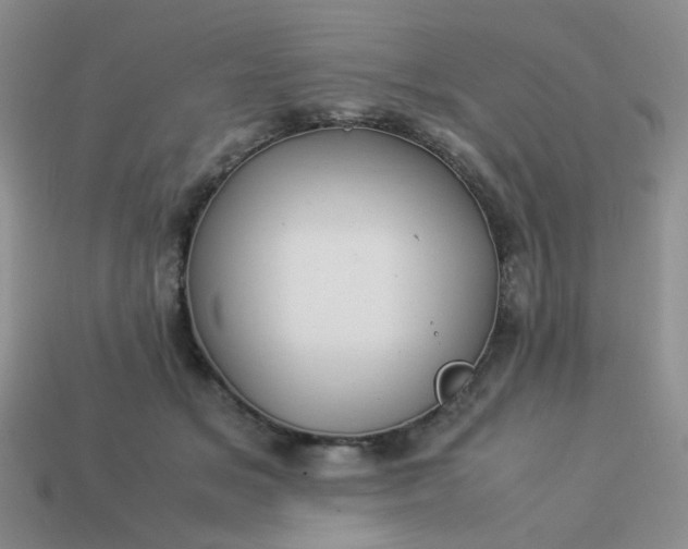 X0000114140509200910221528