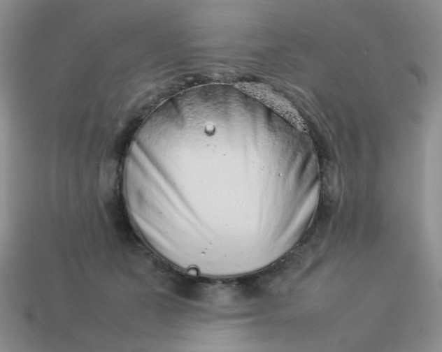 X0000114140511200910221528