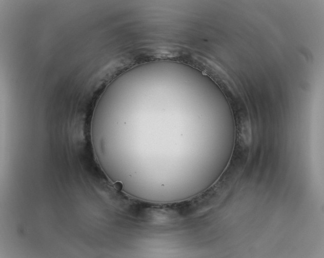 X0000114140512200910221528