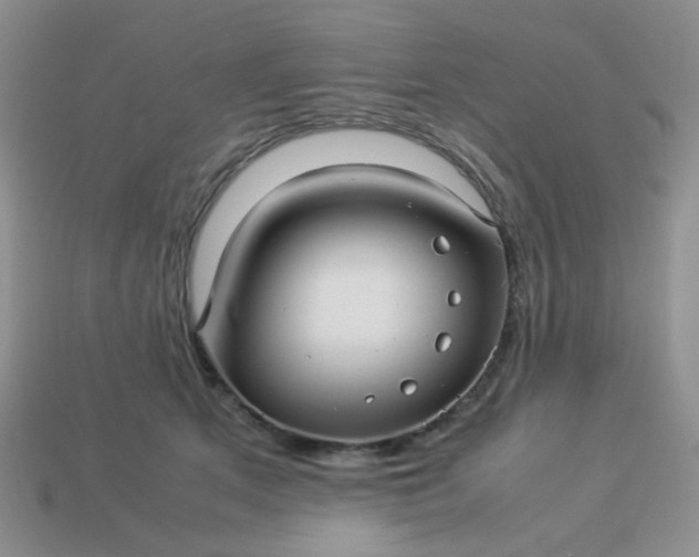 X0000114140513200910221528