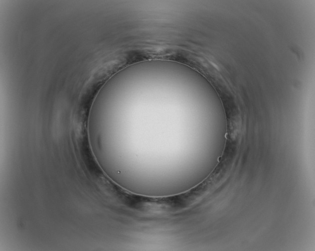 X0000114140515200910221528