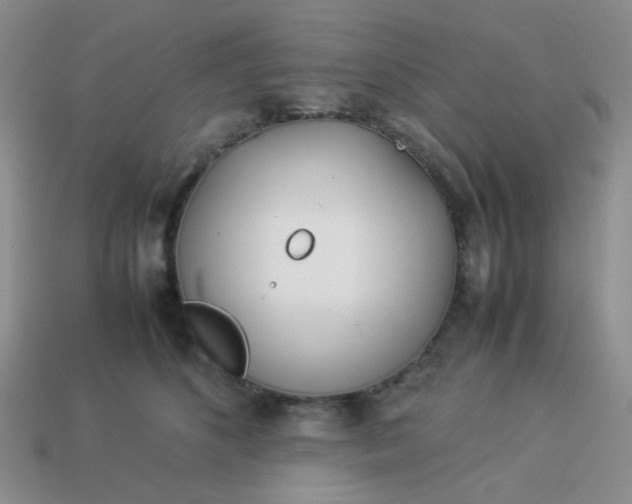 X0000114140516200910221528