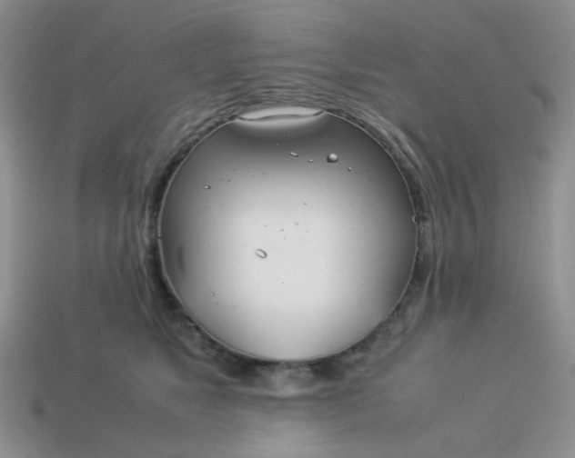 X0000114140517200910221528