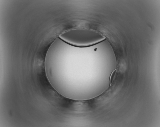 X0000114140521200910221527