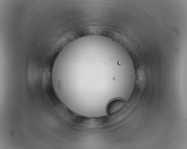 X0000114140522200910221527