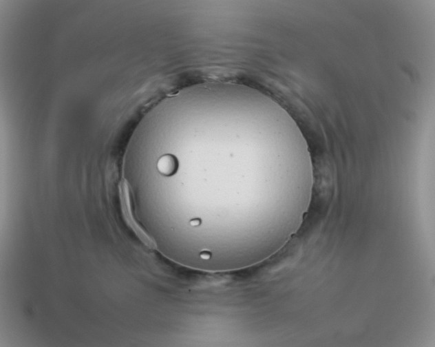 X0000114140523200910221527