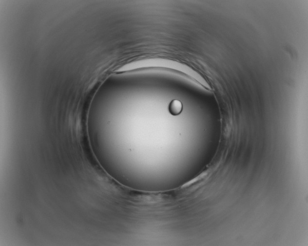 X0000114140524200910221527