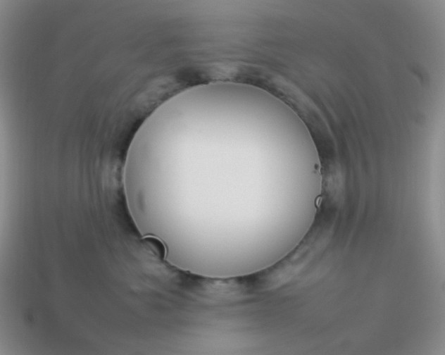 X0000114140525200910221527