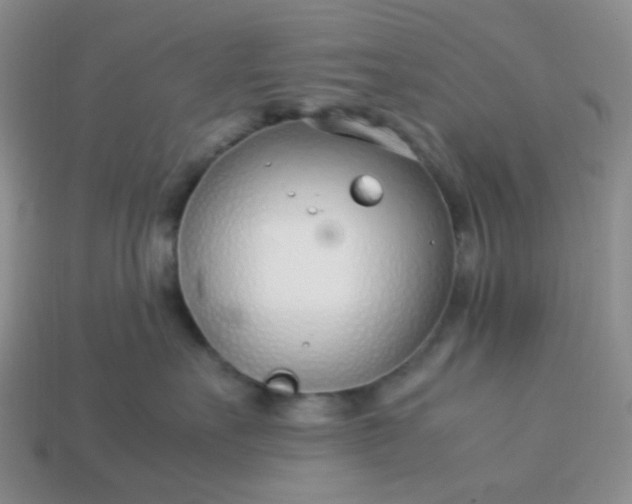 X0000114140527200910221527