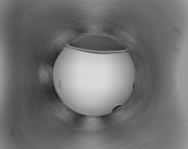 X0000114140528200910221527