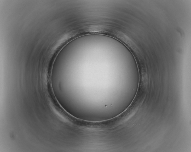 X0000114140530200910221527