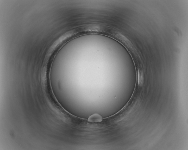 X0000114140531200910221527