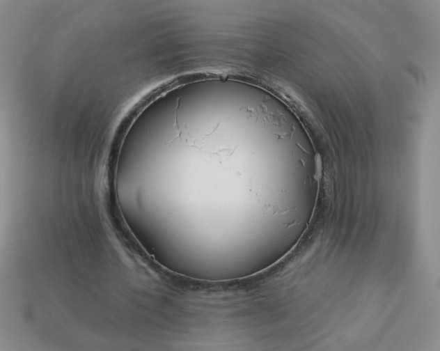 X0000114140532200910221527