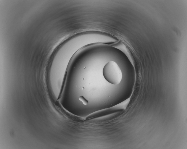 X0000114140534200910221527