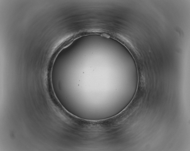 X0000114140535200910221527