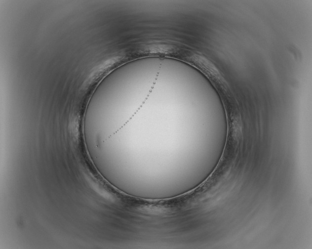 X0000114140537200910221527