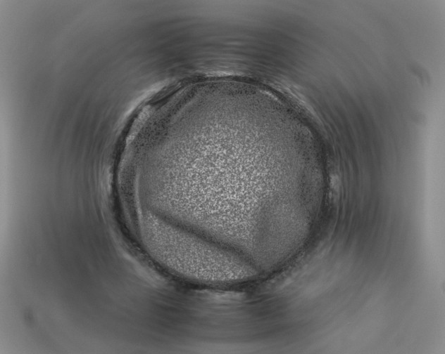 X0000114140539200910221527