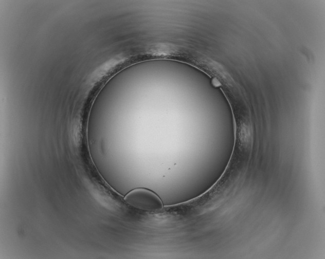 X0000114140540200910221527