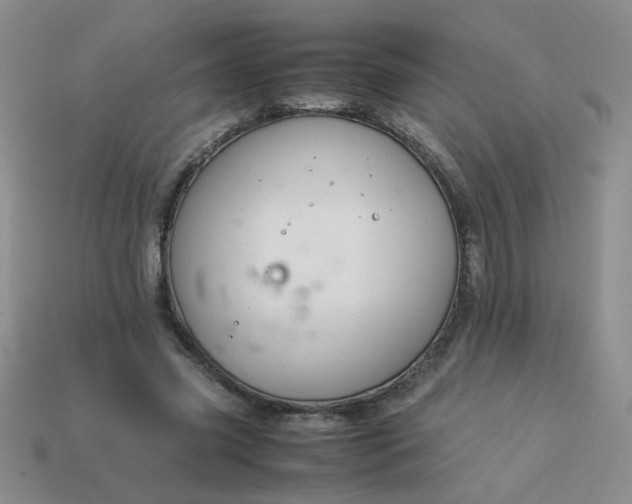 X0000114140541200910221527