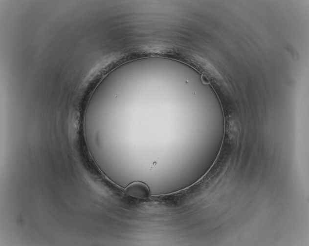 X0000114140544200910221527