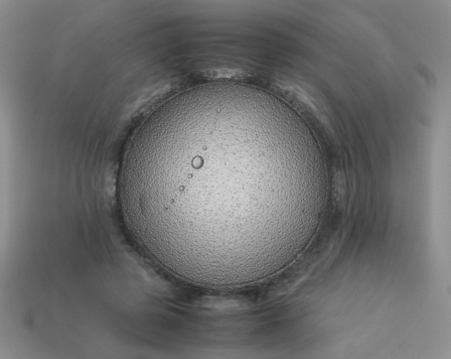 X0000114140545200910221527