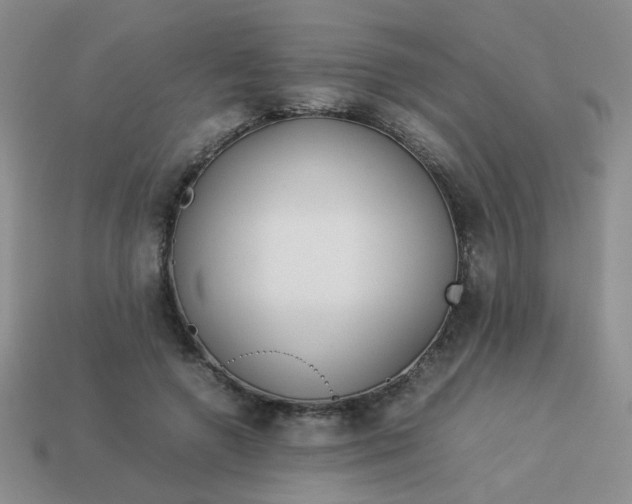 X0000114140546200910221527