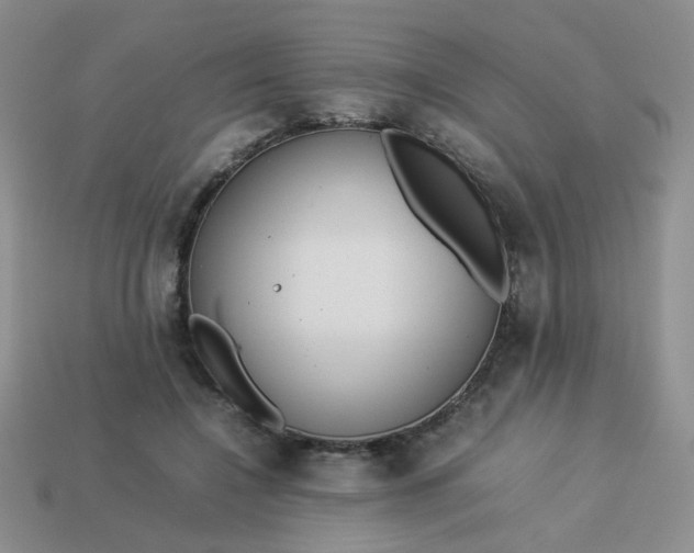 X0000114140548200910221527