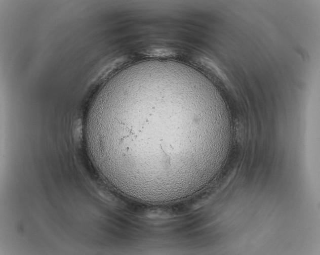 X0000114140549200910221527