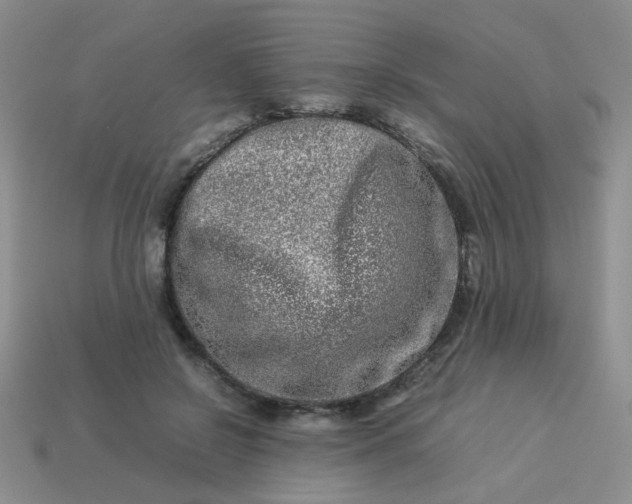 X0000114140550200910221527