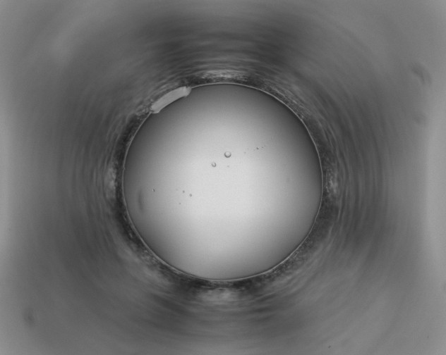 X0000114140551200910221527