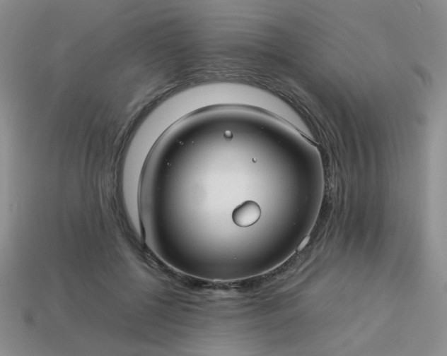 X0000114140552200910221527