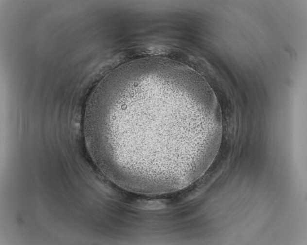 X0000114140553200910221527