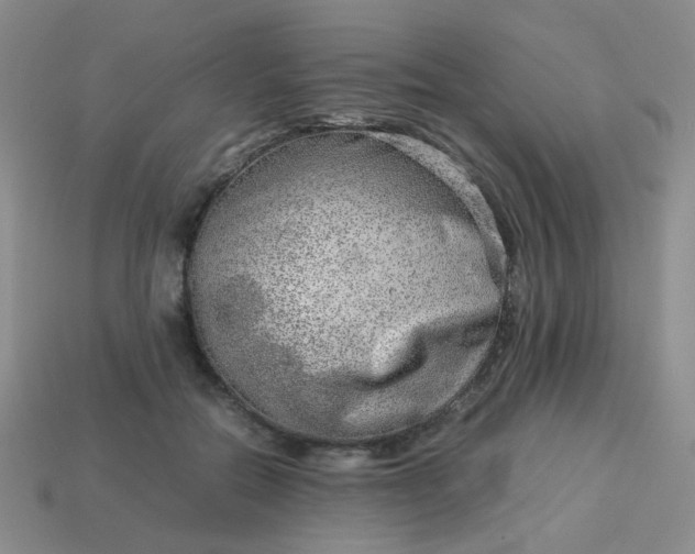 X0000114140554200910221527