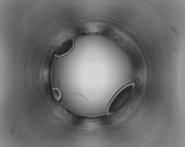 X0000114140556200910221527