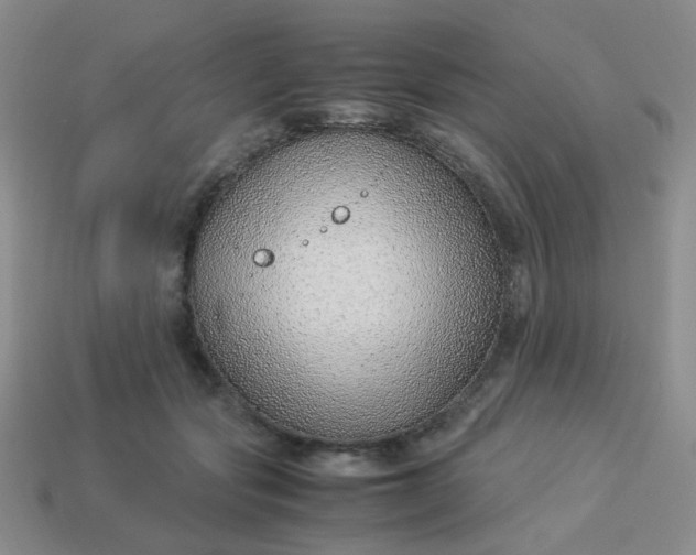 X0000114140557200910221527