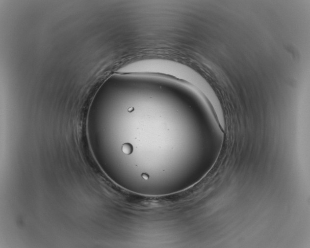 X0000114140558200910221527