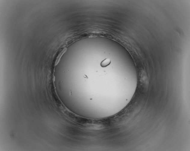 X0000114140559200910221527