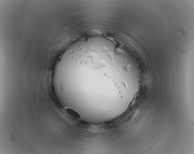 X0000114140560200910221527