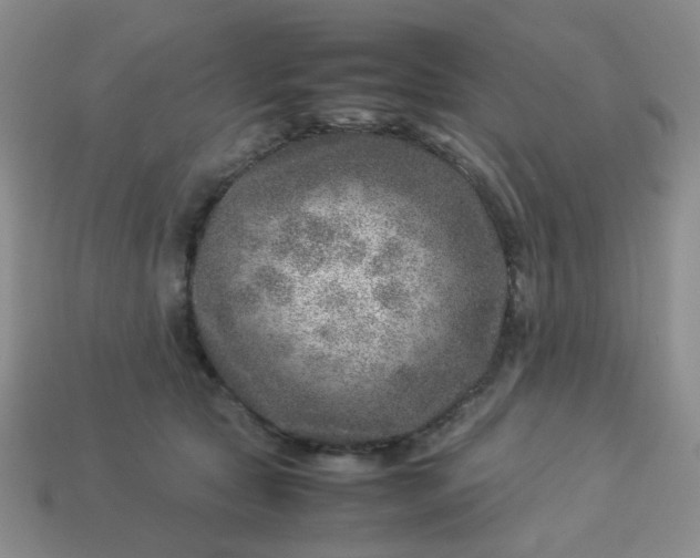 X0000114140561200910221527