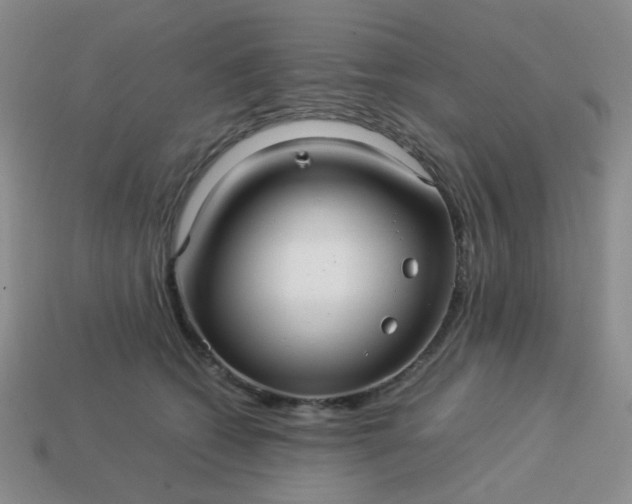 X0000114140562200910221527