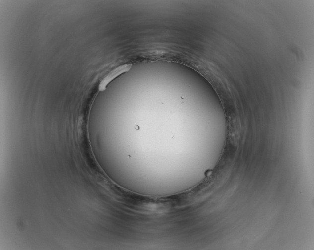 X0000114140563200910221527