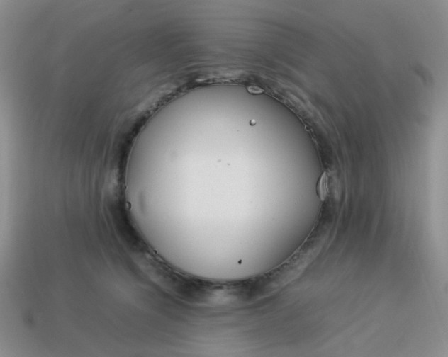 X0000114140564200910221527