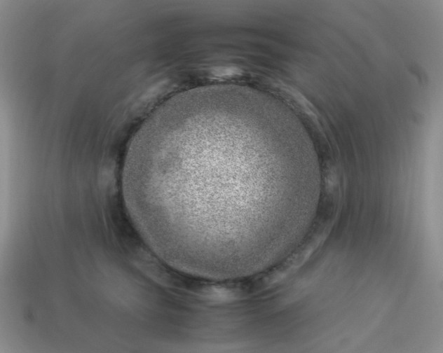 X0000114140565200910221527