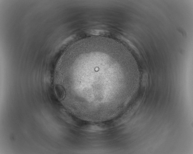 X0000114140569200910221527